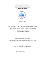 Tách chiết enzyme bromelain từ phế liệu vỏ dứa (ananas comosus) bằng phương pháp lọc 