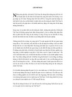 Làm thế nào để có thể ứng dụng var (giá trị tại rủi ro) vào quản trị rủi ro danh mục tại việt nam