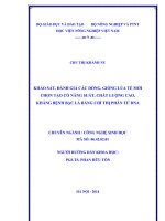 khảo sát, đánh giá các dòng, giống lúa tẻ mới chọn tạo có năng suất, chất lượng cao, kháng bệnh bạc lá bằng chỉ thị phân tử dna