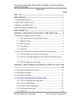 THỰC TRẠNG VÀ GIẢI PHÁP VỀ HOẠT ĐỘNG XUẤT KHẨU CÀ PHÊ CỦA VIỆT NAM SANG THỊ TRƯỜNG MĨ