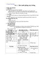 Bài 4, sản xuất giống cây trồng