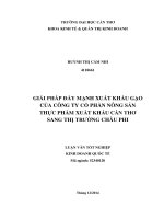 giải pháp đẩy mạnh xuất khẩu gạo của công ty cổ phần nông sản thực phẩm xuất khẩu cần thơ sang thị trường châu phi