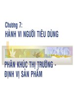 Hành Vi Người Tiêu Dùng 7 - Phân Khúc Thị Trường & Định Vị Sản Phẩm