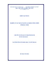 nghiên cứu sử dụng nguồn lao động nông thôn tỉnh bắc ninh