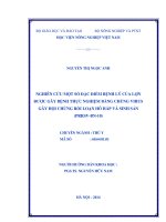 nghiên cứu một số đặc điểm bệnh lý của lợn được gây bệnh thực nghiệm bằng chủng virus gây hội chứng rối loạn hô hấp và sinh sản (prrsvbn10)