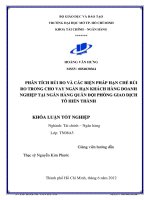 PHÂN TÍCH RỦI DO VÀ CÁC BIỆN PHÁP HẠN CHẾ RỦI DO TRONG VAY NGẮN HẠN KHÁCH HÀNG DOANH NGHIỆP TẠI NGÂN HÀNG QUÂN ĐỘI PHÒNG GIAO DỊCH TÔ HIẾN THÀNH