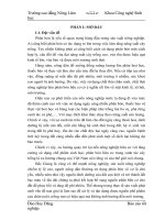 sản xuất phân vi cơ hữu sinh từ phân gà trôn trấu và mùn cưa