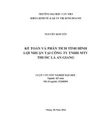 kế toán và phân tích tình hình lợi nhuận tại công ty tnhh mtv thuốc lá an giang 