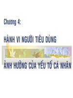 Hành Vi Người Tiêu Dùng 4 - Cá Nhân