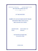 nghiên cứu sản xuất kháng huyết thanh chẩn đoán virus vàng lụi lúa (rice yellow stunt virus)