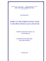 nghiên cứu một số bệnh nấm hại cải bắp vụ thu đông năm 2013 tại gia lâm, hà nội