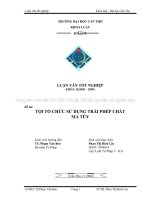 tội tổ chức sử dụng trái phép chất ma túy