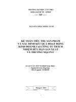 kế toán tiêu thụ sản phẩm và xác định kết quả hoạt động kinh doanh tại công ty trách nhiệm hữu hạn sản xuất và thương mại pvc 