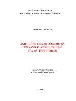 ảnh hưởng của bổ sung bột sả lên năng suất sinh trưởng của gà thịt cobb 500