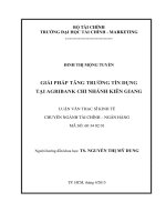 giải pháp tăng trưởng tín dụng tại agribank chi nhánh kiên giang 