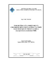 ảnh hưởng của nhiệt độ và chlorine đến chất lượng và thời gian bảo quản trái cà chua (lycopersicon esculentum mill) 