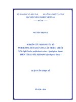 nghiên cứu một số yếu tố ảnh hưởng đến khả năng lây nhiễm vi rút npv spl (nucleo polyhedrosis virus  spodoptera litura) trên tế bào sâu khoang (spodoptera litura )