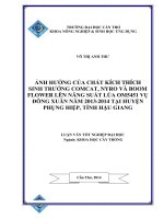 ảnh hưởng của chất kích thích sinh trưởng comcat, nyro và boom flower lên năng suất lúa om5451 vụ đông xuân năm 2013 2014 tại huyện phụng hiệp, tỉnh hậu giang 