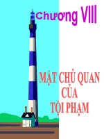 Mặt Chủ Quan Của Tội Phạm