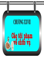 Các Tội Phạm Về Chức Vụ