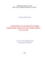 ảnh hưởng của sự bổ sung lysine trong khẩu phần lên sản lượng trứng của gà sao