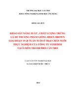 khảo sát năng suất , chất lượng trứng gà đẻ thương phẩm giống hisex brown giai đoạn 1928 tuần tuổi ở trại chăn nuôi thực nghiệm của công ty vemedim tại ô môn thành phố cần thơ