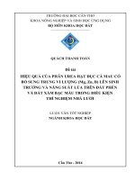 hiệu quả của phân urea hạt đục cà mau có bổ sung trung vi lượng (mg, zn, b) lên sinh trưởng và năng suất lúa trên đất phèn và đất xám bạc màu trong điều kiện thí nghiệm nhà lưới