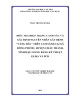 điều tra hiện trạng canh tác và xác định nguyên nhân gây bệnh vàng đầu trên cam rành tại xã đông phước, huyện châu thành, tỉnh hậu giang bằng kỹ thuật elisa và pcr 