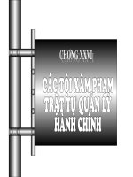 Các Tội Xâm Phạm Trật Tự Quản Lý Hành Chính