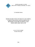 đánh giá khả năng gây hại của sáu chủng vi khuẩn ralstonia solancearum gây bệnh héo xanh trên ớt hiểm lai 207 trong điều kiện nhà lƣới 