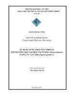 sử dụng nước thải túi ủ biogas với nguyên liệu nạp bèo tai tượng (pistia stratiotes) tưới cây vạn thọ (tagetes patula l.)