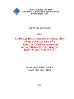 khảo sát đặc tính sinh trưởng tính năng sản xuất của cây keo củi (calliandra calothyrsus) ở các thời điểm thu hoạch khác nhau tại cần thơ