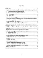 Khảo sát thị trường california và kế hoạch marketing sản phẩm thanh long ruột tím 