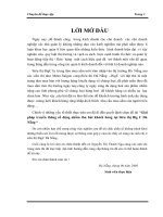 Giải pháp truyền thông cổ động nhằm thu hút khách hàng tại siêu thị big c đà nẵng 
