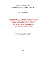 ảnh hưởng của việc bổ sung chế phẩm vitamin, chất khoáng và acid amin lên năng suất và chất lượng trứng gà giống hisex brown giai đoạn 2032 tuần tuổi