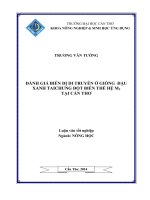 đánh giá biến dị di truyền ở giống đậu xanh tai chung đột biến thế hệ m2 tại cần thơ