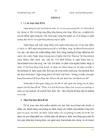 Phân tích tình hình hoạt động kinh doanh của phòng cá nhân tại sacombank chi nhánh điện biên phủ