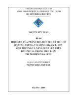 hiệu quả của phân urea hạt đục cà mau có bổ sung trung, vi lượng (mg, zn, b) lên sinh trưởng và năng suất lúa trên đất phù sa trong điều kiện thí nghiệm nhà lưới
