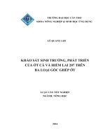 khảo sát sinh trưởng, phát triển của ớt cà và hiểm lai 207 trên ba loại gốc ghép ớt 