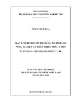 hạn chế rủi ro tín dụng tại ngân hàng nông nghiệp và phát triển nông thôn việt nam, chi nhánh đồng tháp 
