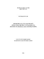 ảnh hưởng của các loại nền đáy lên sự tăng trưởng và tỉ lệ sống của hải sâm cát (holothuria scabra) giai đoạn giống