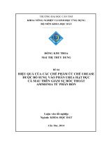 hiệu quả của các chế phẩm ức chế urease được bổ sung vào phân urea hạt đục cà mau trên giảm sự bốc thoát ammonia từ phân bón