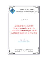 ảnh hưởng của các mức năng lượng khác nhau lên năng suất và khối lượng trứng gà đẻ hisex brown 43 – 48 tuần tuổi