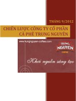 Chiến lược công ty cổ phần cà phê trung nguyên