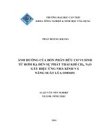 ảnh hưởng của bón phân hữu cơ vi sinh từ rơm rạ đến sự phát thải khí ch4, n2o gây hiệu ứng nhà kính và năng suất lúa om5451 