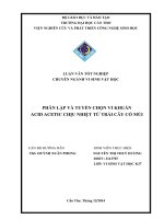 phân lập và tuyển chọn vi khuẩn acid acetic chịu nhiệt từ trái cây có múi