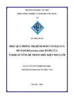 hiệu quả phòng trị bệnh đốm vằn hại lúa do nấm rhizoctonia solani kuhn của  vi khuẩn vùng rễ trong điều kiện nhà lưới