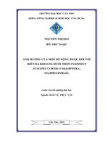 ảnh hưởng của một số nông dƣợc đối với kiến ba khoang đuôi nhọn paederus fuscipes curtis (coleoptera staphylinidae) 