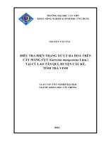 điều tra hiện trạng xử lý ra hoa trên cây măng cụt (garcinia mangostana linn ) tại cù lao tân qui, huyện cầu kè, tỉnh trà vinh 
