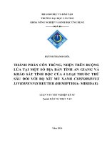 thành phần côn trùng, nhện trên ruộng lúa tại một số địa bàn tỉnh an giang và khảo sát tính độc của 4 loại thuốc trừ sâu đối với bọ xít mù xanh cyrtorhinus lividipennis reuter (hemiptera: miridae)